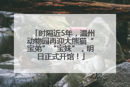时隔近5年，温州动物园再迎大熊猫“宝弟”“宝妹”，明日正式开馆！